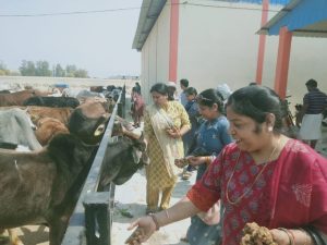 IMG-20240316-WA0439