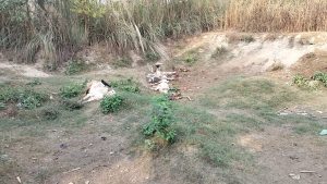 IMG-20241126-WA0738