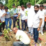 हरगांव क्षेत्र में राज्यमंत्री की अगुवाई में वृहद वृक्षारोपण अभियान चलाया गया